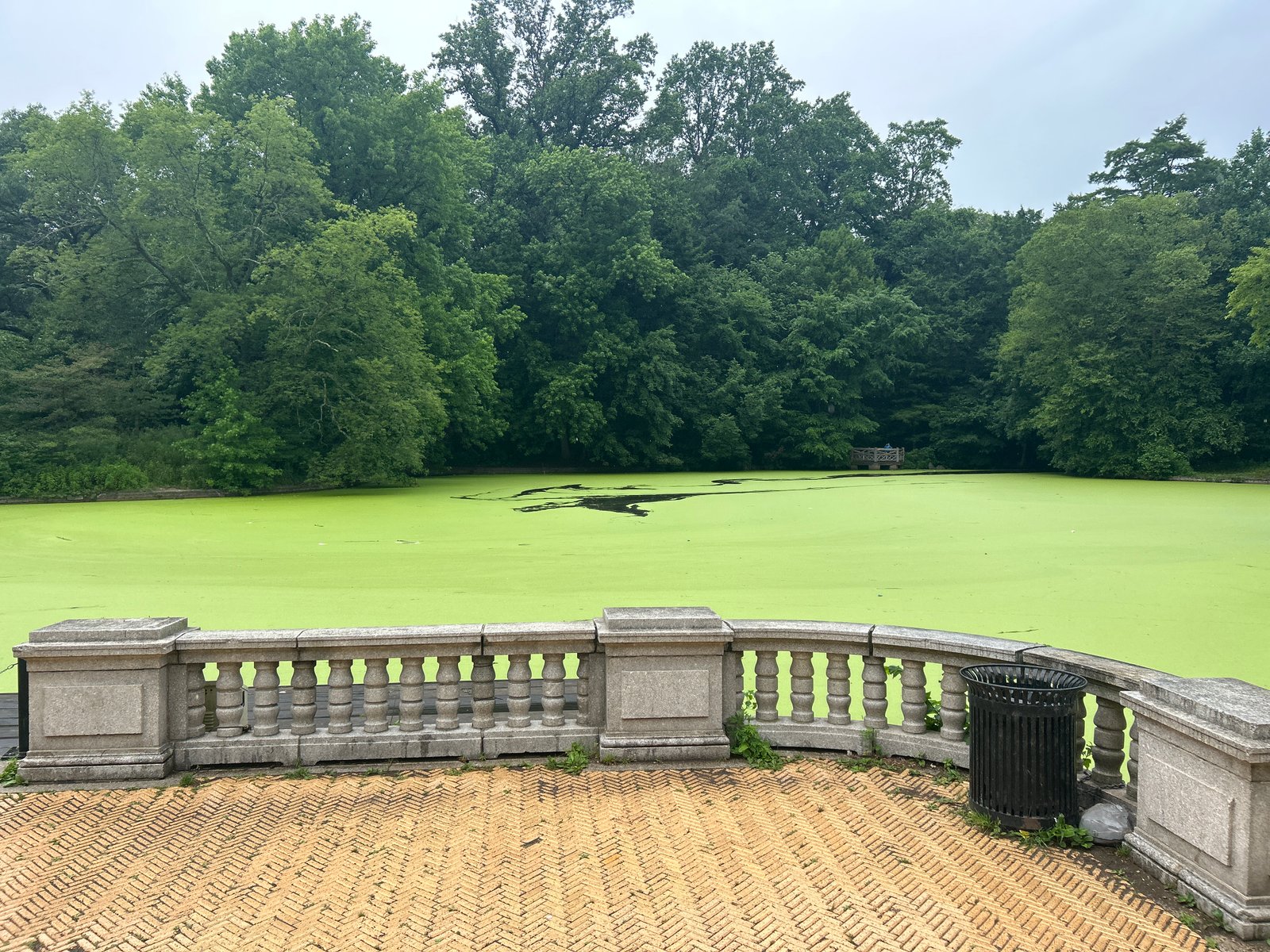 View of Prospect Park lake